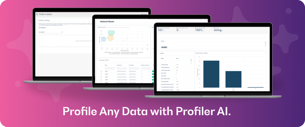 Profile any data with Profiler AI